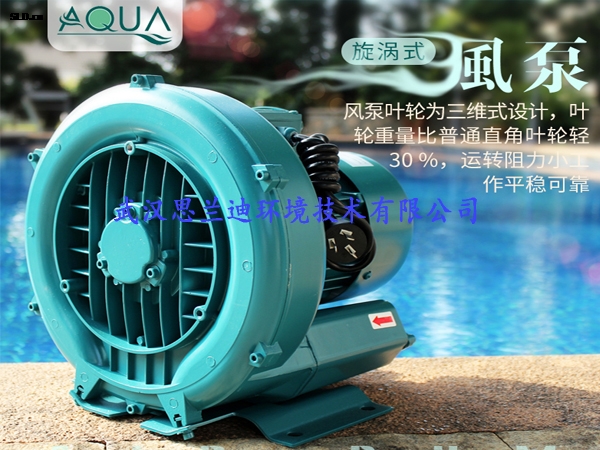 愛克風(fēng)泵